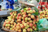 Thổn thức với những thức quà chỉ tháng 6 Hà Nội mới có Thổn thức với những thức quà chỉ tháng 6 Hà Nội mới có