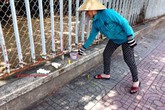 Bé sơ sinh tử vong bị bỏ rơi bên đường Bé sơ sinh tử vong bị bỏ rơi bên đường