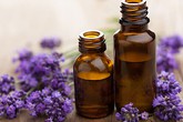 4 cách đơn giản khử sạch mùi hôi bồn cầu 4 cách đơn giản khử sạch mùi hôi bồn cầu