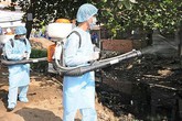 Hạn chế tối đa các trường hợp tử vong do sốt xuất huyết Hạn chế tối đa các trường hợp tử vong do sốt xuất huyết