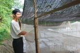 Thu lãi 200 triệu mỗi năm nhờ mô hình “trên ếch, dưới cá" Thu lãi 200 triệu mỗi năm nhờ mô hình “trên ếch, dưới cá"