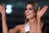 Thông tin gây bão về việc Hoa hậu Colombia tự tử chỉ là bịa đặt Thông tin gây bão về việc Hoa hậu Colombia tự tử chỉ là bịa đặt