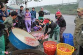 Chợ cá lớn nhất Hà Nội rực vàng ngày ông Công, ông Táo Chợ cá lớn nhất Hà Nội rực vàng ngày ông Công, ông Táo