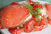 Bí kíp bán cua huỳnh đế Lý Sơn giá rẻ ở Hà Nội Bí kíp bán cua huỳnh đế Lý Sơn giá rẻ ở Hà Nội