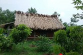 “Dị nhân” bỏ nhà phố ra ở lều tranh không tivi và nồi cơm điện “Dị nhân” bỏ nhà phố ra ở lều tranh không tivi và nồi cơm điện
