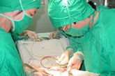 Nhập viện vì đeo nhẫn vào “súng” Nhập viện vì đeo nhẫn vào “súng”