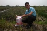 Từ thất nghiệp thành 'vua' trùn quế đất Củ Chi Từ thất nghiệp thành 'vua' trùn quế đất Củ Chi