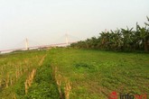 Hà Nội: Dịch vụ cho thuê đất tự trồng rau sạch Hà Nội: Dịch vụ cho thuê đất tự trồng rau sạch