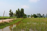 Tạm giữ cha ruột nghi giết hại con Tạm giữ cha ruột nghi giết hại con
