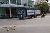 Lạnh 13 độ C, người đàn ông khỏa thân giữa đường gây sốc Lạnh 13 độ C, người đàn ông khỏa thân giữa đường gây sốc