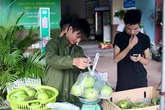 Lệ Rơi khốn khổ kiếm sống, trả nợ Lệ Rơi khốn khổ kiếm sống, trả nợ