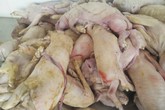 Nguy hại tức thì khi ăn thịt heo sữa chết Nguy hại tức thì khi ăn thịt heo sữa chết