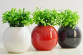 Cấm kỵ cần nhớ khi bày bình hoa trong phòng khách Cấm kỵ cần nhớ khi bày bình hoa trong phòng khách