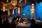 Điểm mặt những nơi đại gia thường "đốt tiền" ở Dubai Điểm mặt những nơi đại gia thường "đốt tiền" ở Dubai