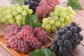 Cách bảo quản 12 loại thực phẩm tươi ngon dài lâu Cách bảo quản 12 loại thực phẩm tươi ngon dài lâu