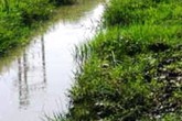Đi tìm mẹ, bé 3 tuổi rơi xuống mương tử vong Đi tìm mẹ, bé 3 tuổi rơi xuống mương tử vong