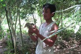 Anh nông dân nghèo từ chối 2 tỷ đồng để giữ vườn chim vì muốn dạy con tình yêu với thiên nhiên Anh nông dân nghèo từ chối 2 tỷ đồng để giữ vườn chim vì muốn dạy con tình yêu với thiên nhiên