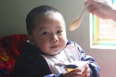 Để nhà không còn “bé biếng ăn” Để nhà không còn “bé biếng ăn”