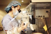 Bi hài chuyện đi lấy con...“giống”! Bi hài chuyện đi lấy con...“giống”!