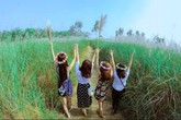 Giới trẻ đổ xô đi ngắm bãi cỏ lau tuyệt đẹp bên sông Lam Giới trẻ đổ xô đi ngắm bãi cỏ lau tuyệt đẹp bên sông Lam