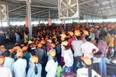 Đình chỉ chủ quản người Trung Quốc đập giày vào mặt công nhân Việt Đình chỉ chủ quản người Trung Quốc đập giày vào mặt công nhân Việt