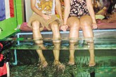 Thực hư tin đồn cá massage truyền bệnh HIV, viêm gan C Thực hư tin đồn cá massage truyền bệnh HIV, viêm gan C