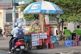 Sài Gòn: Sâm, cam vắt dưới 10.000 đồng đắt khách ngày nắng Sài Gòn: Sâm, cam vắt dưới 10.000 đồng đắt khách ngày nắng