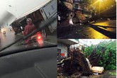 Cận cảnh Hà Nội thành "bãi chiến trường" sau mưa giông Cận cảnh Hà Nội thành "bãi chiến trường" sau mưa giông