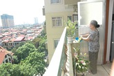 Không trồng quá nhiều cây ở ban công chung cư Không trồng quá nhiều cây ở ban công chung cư