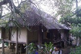 “Ma men” biến đứa con hiền lành thành nghịch tử “Ma men” biến đứa con hiền lành thành nghịch tử