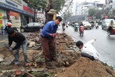 Hàng loạt sở, ngành phải chịu trách nhiệm vụ chặt 6700 cây xanh Hàng loạt sở, ngành phải chịu trách nhiệm vụ chặt 6700 cây xanh