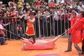 Khai xuân… máu đỏ sân đình! Khai xuân… máu đỏ sân đình!