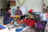 Càng cua đồng “bốc hỏa”, giá gần gấp đôi thịt bò Càng cua đồng “bốc hỏa”, giá gần gấp đôi thịt bò