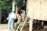 Những thầy thuốc tự biến mình thành “mồi” nhử muỗi Những thầy thuốc tự biến mình thành “mồi” nhử muỗi