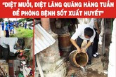 Ổ dịch sốt xuất huyết ở ngay trong nhà Ổ dịch sốt xuất huyết ở ngay trong nhà