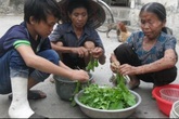 Chuyện đời cay đắng của người đàn bà có những cục thịt lạ Chuyện đời cay đắng của người đàn bà có những cục thịt lạ