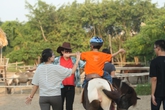 Dạy kỹ năng sống cho trẻ tự kỷ, khuyết tật qua việc học cưỡi ngựa: Cách hay rèn thể chất và tinh thần Dạy kỹ năng sống cho trẻ tự kỷ, khuyết tật qua việc học cưỡi ngựa: Cách hay rèn thể chất và tinh thần