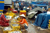 Hiểu thêm về Bản đồ điện tử Dân số “đặc biệt” Hiểu thêm về Bản đồ điện tử Dân số “đặc biệt”