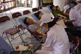 Lâm Đồng: Hành trình Đỏ 2015 vận động 20.000 người tham gia hiến máu Lâm Đồng: Hành trình Đỏ 2015 vận động 20.000 người tham gia hiến máu