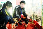 Sản vật “tiến vua” tràn hội chợ Xuân Sản vật “tiến vua” tràn hội chợ Xuân