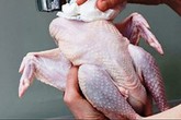 Cách nhận biết gà, ngan, vịt ăn chất Vàng ô Cách nhận biết gà, ngan, vịt ăn chất Vàng ô