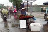 Trái cây rớt giá, lắm kẻ cười, nhiều người khóc! Trái cây rớt giá, lắm kẻ cười, nhiều người khóc!
