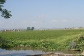 Khu sản xuất của người dân bị biến thành vùng “đất chết” Khu sản xuất của người dân bị biến thành vùng “đất chết”