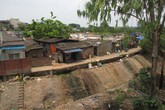 “Chết khiếp” với loài muỗi “dị” ở các khu nhà trọ giá rẻ “Chết khiếp” với loài muỗi “dị” ở các khu nhà trọ giá rẻ