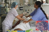 Nuốt mật lợn sau khi sinh, sản phụ suýt mất mạng Nuốt mật lợn sau khi sinh, sản phụ suýt mất mạng