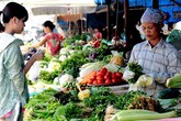 Cách hạn chế độc tố trong rau quả Cách hạn chế độc tố trong rau quả