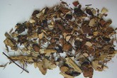 Cảnh báo ngộ độc từ thuốc Đông y Cảnh báo ngộ độc từ thuốc Đông y