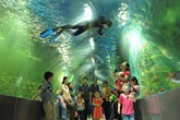 Những địa điểm vui chơi dịp 2/9 quanh Hà Nội bạn nên biết Những địa điểm vui chơi dịp 2/9 quanh Hà Nội bạn nên biết