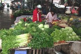 Mớ rau muống đắt ngang 3 lạng thịt Mớ rau muống đắt ngang 3 lạng thịt