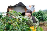 Hoa Hải Đường nở giữa đồi nương Hoa Hải Đường nở giữa đồi nương